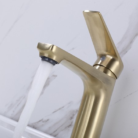 S821 brushed gold