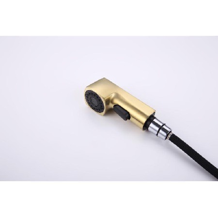 22X01 brushed gold